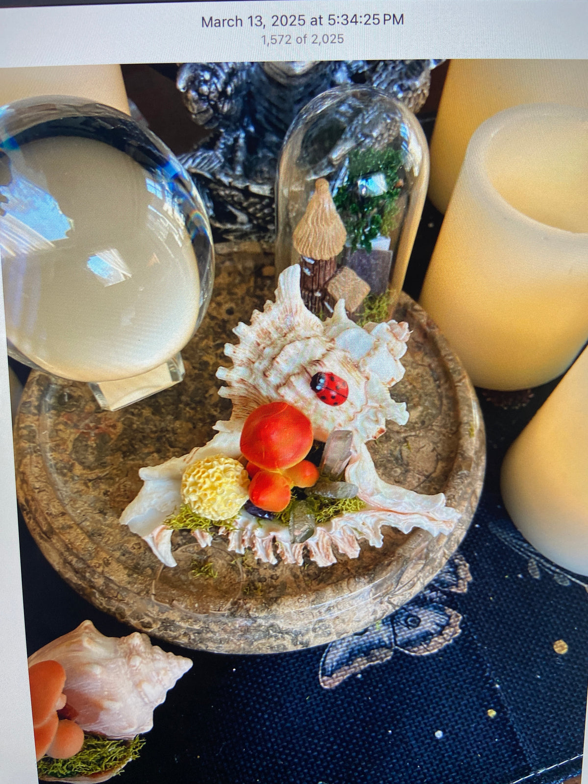 Conch Shell & Mushroom Art – Coastal Witch Home Decor