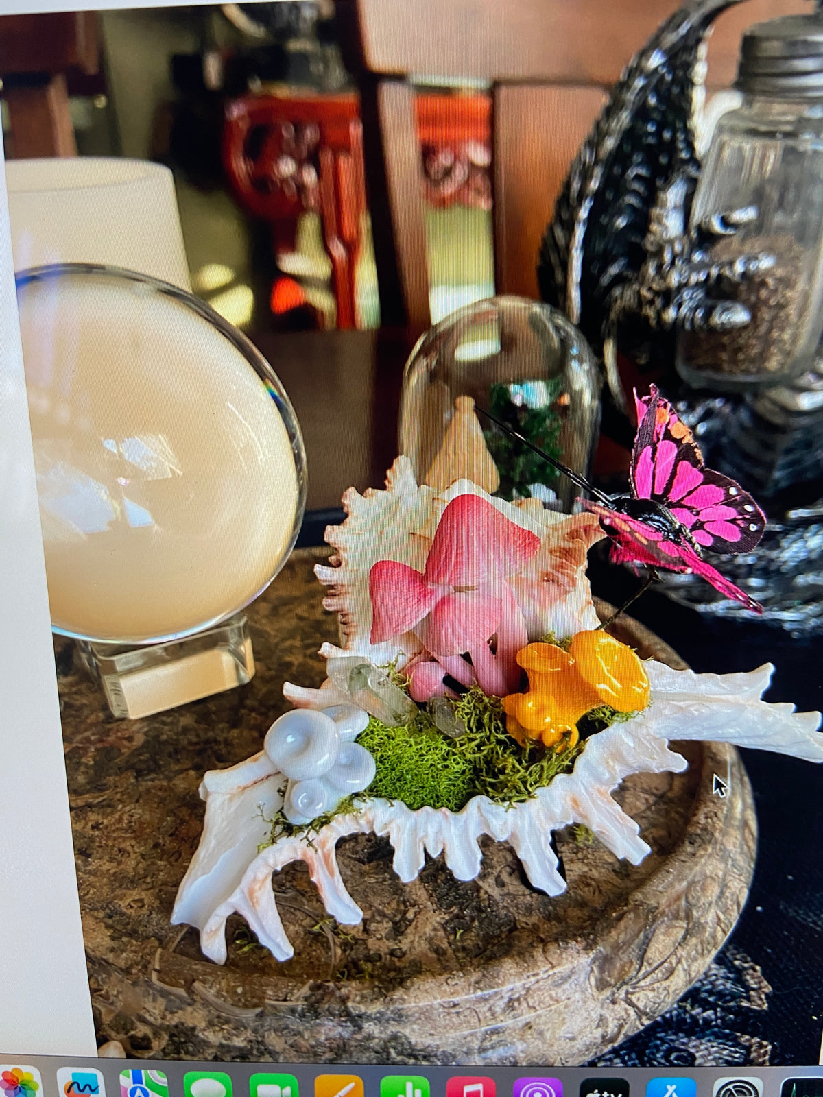 Conch Shell & Mushroom Art – Coastal Witch Home Decor