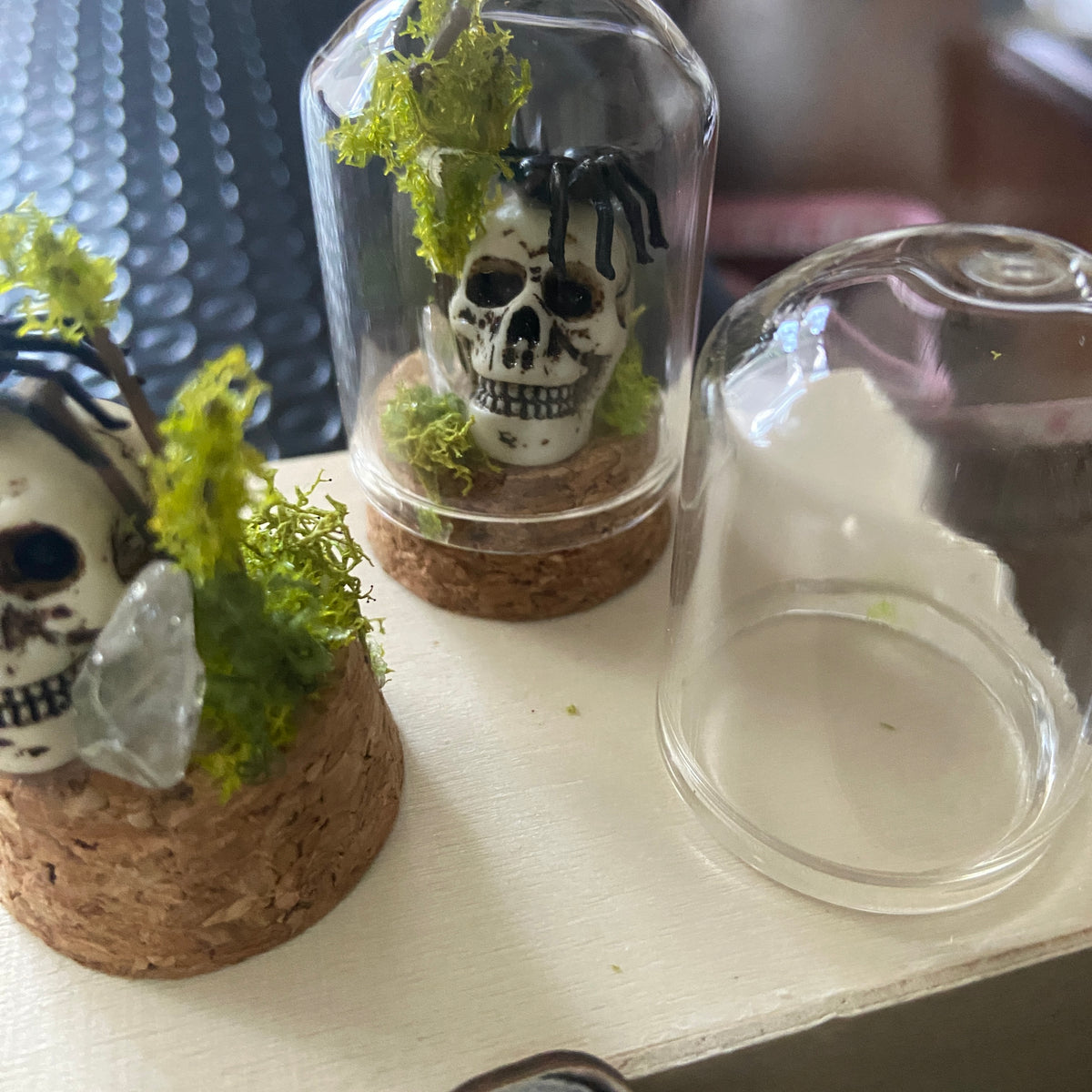 Miniature Skull & Spider Cloche – Haunted Gothic Terrarium Dome | S.O.P.H.