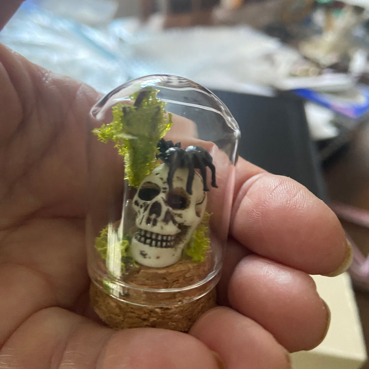 Miniature Skull & Spider Cloche – Haunted Gothic Terrarium Dome | S.O.P.H.