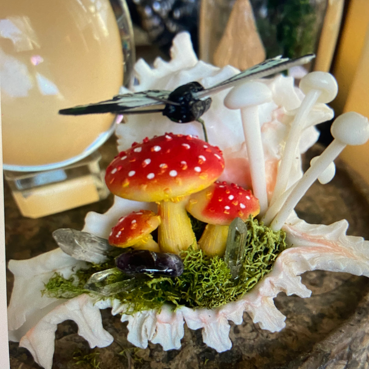 Conch Shell & Mushroom Art – Coastal Witch Home Decor