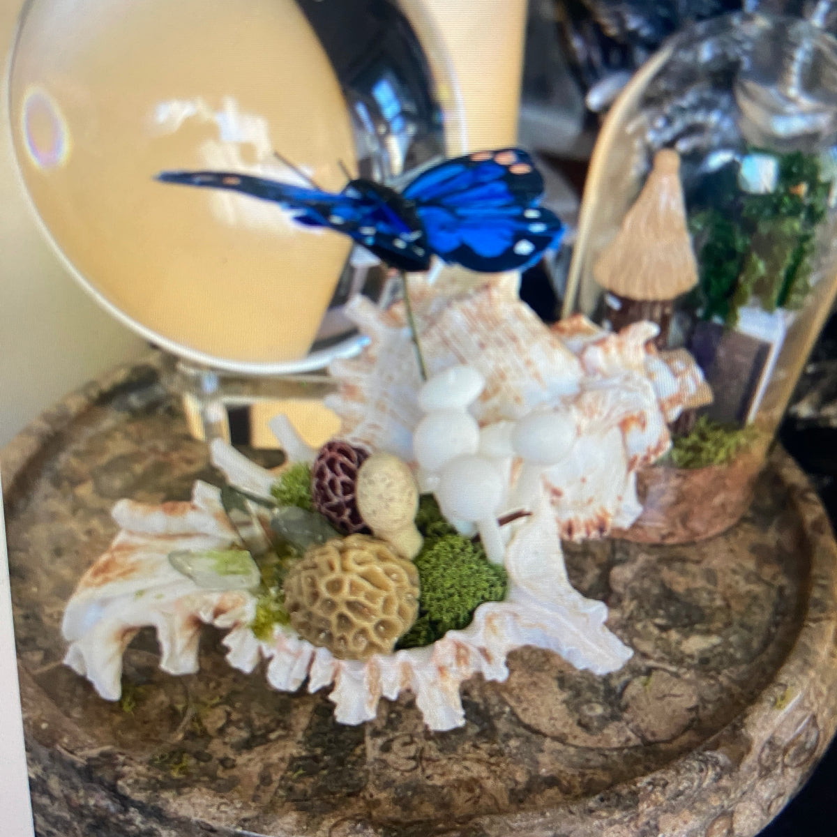 Conch Shell & Mushroom Art – Coastal Witch Home Decor