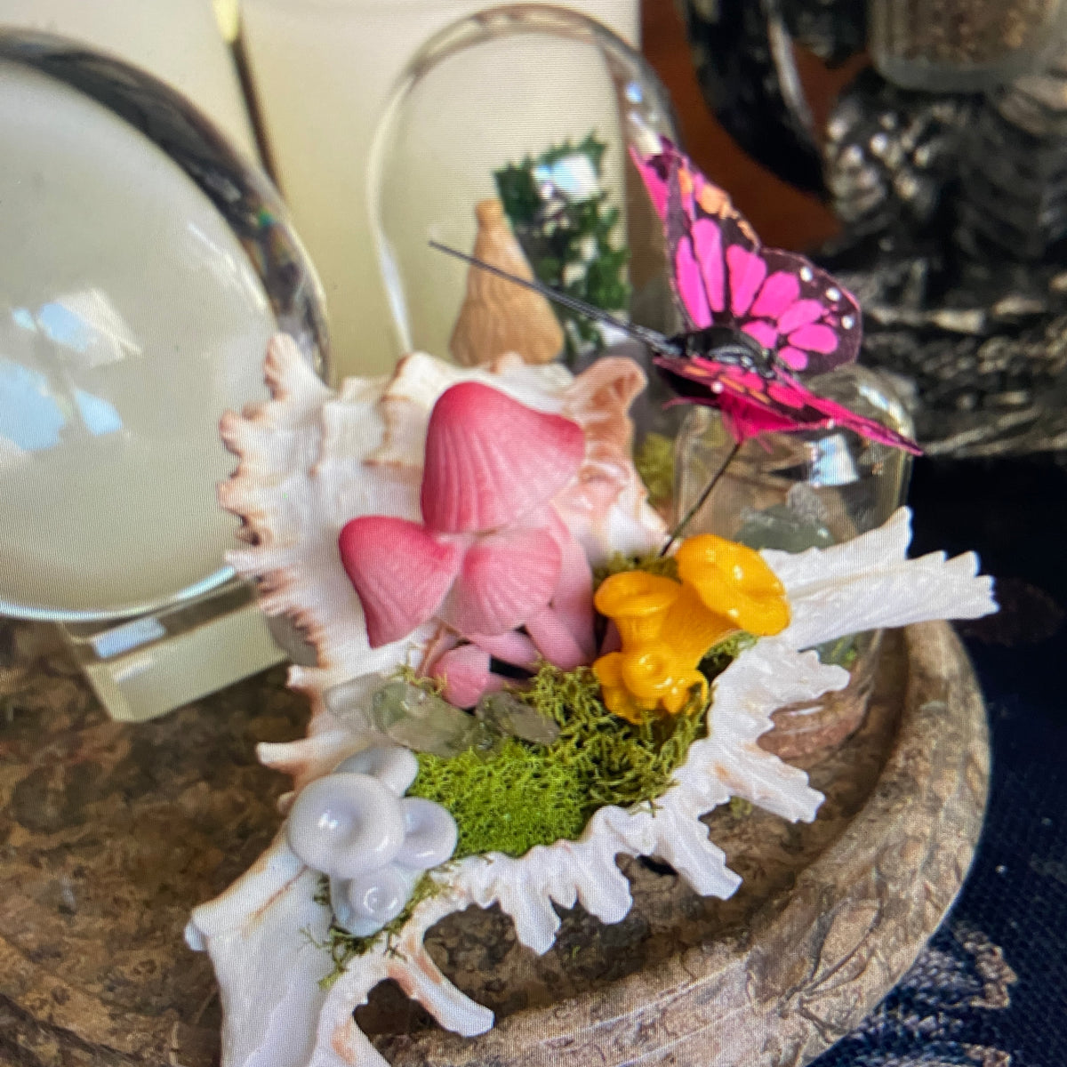 Conch Shell & Mushroom Art – Coastal Witch Home Decor