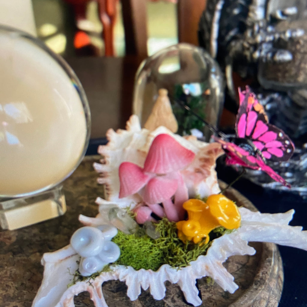 Conch Shell & Mushroom Art – Coastal Witch Home Decor