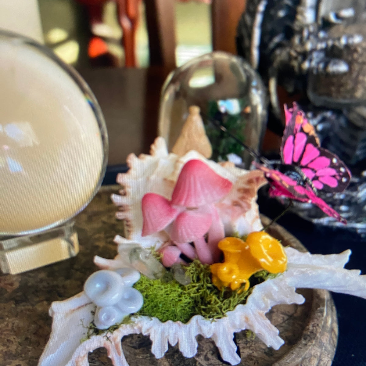Conch Shell & Mushroom Art – Coastal Witch Home Decor