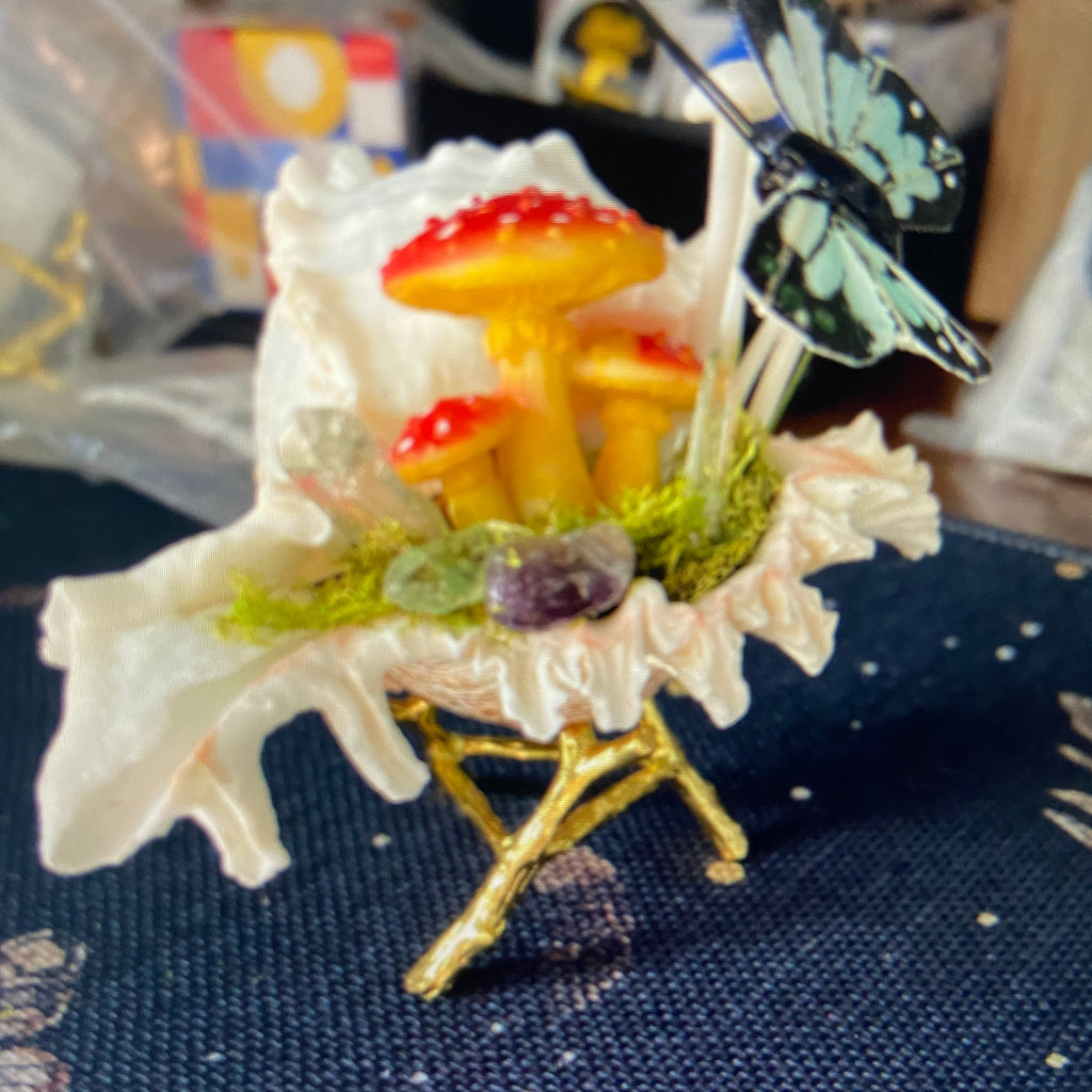 Conch Shell & Mushroom Art – Coastal Witch Home Decor