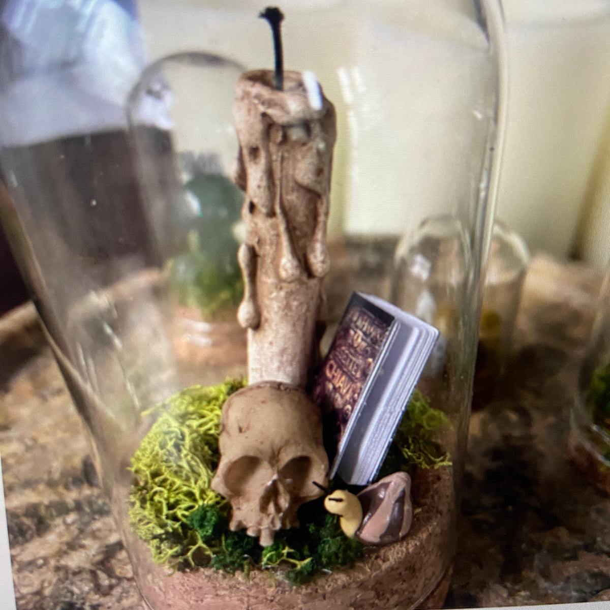 Miniature Cloche Dome Worlds – Handcrafted Mystical Terrarium Scenes | S.O.P.H.