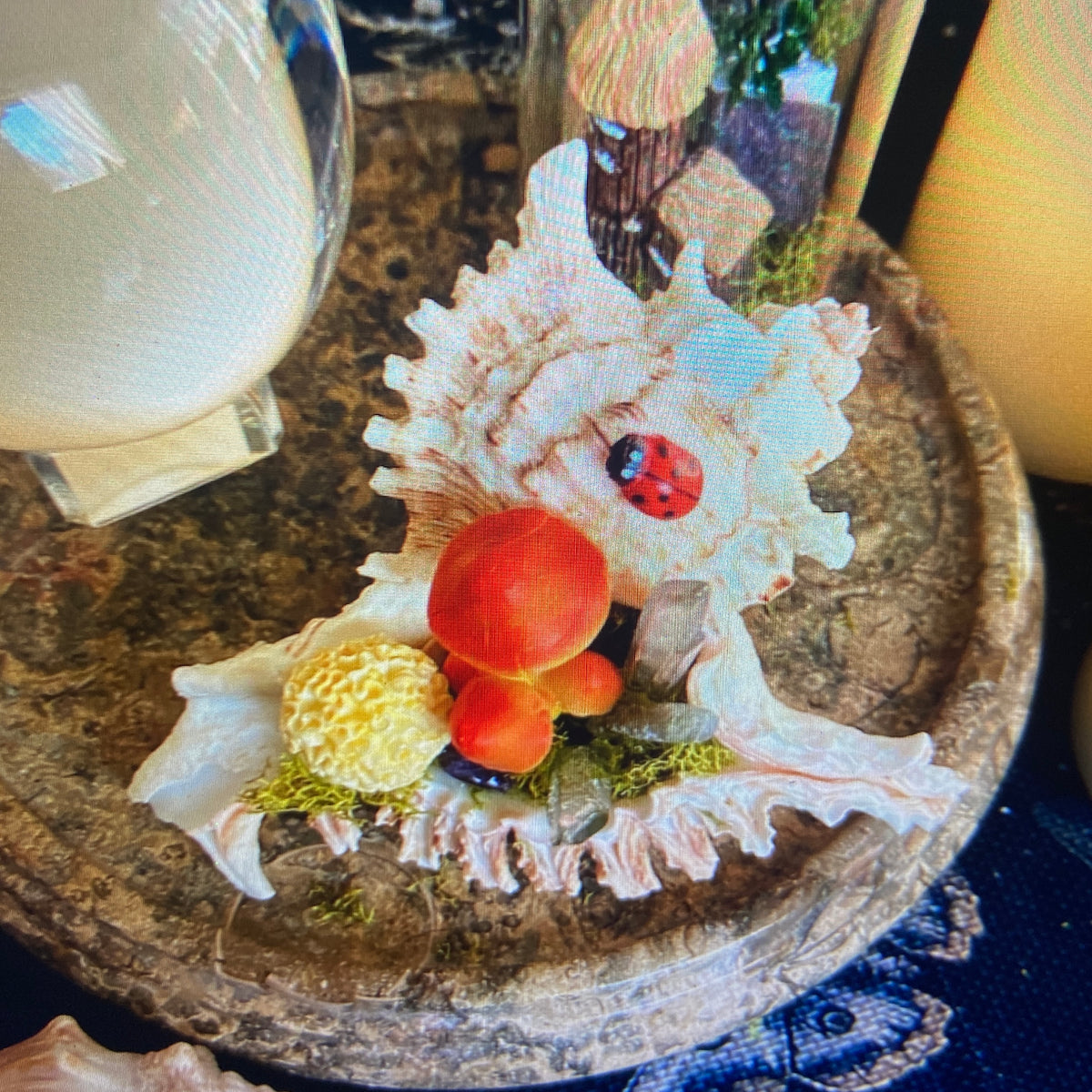 Conch Shell & Mushroom Art – Coastal Witch Home Decor