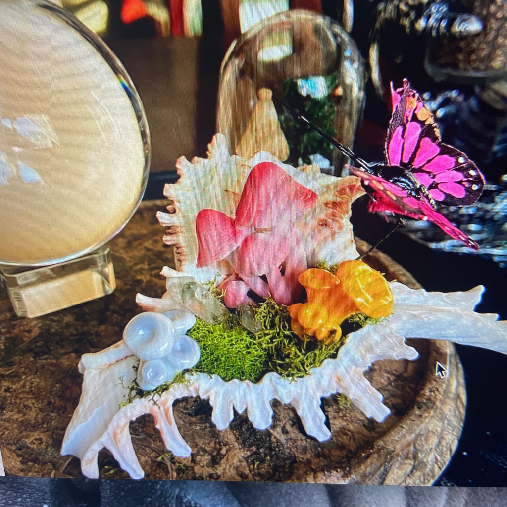 Conch Shell & Mushroom Art – Coastal Witch Home Decor