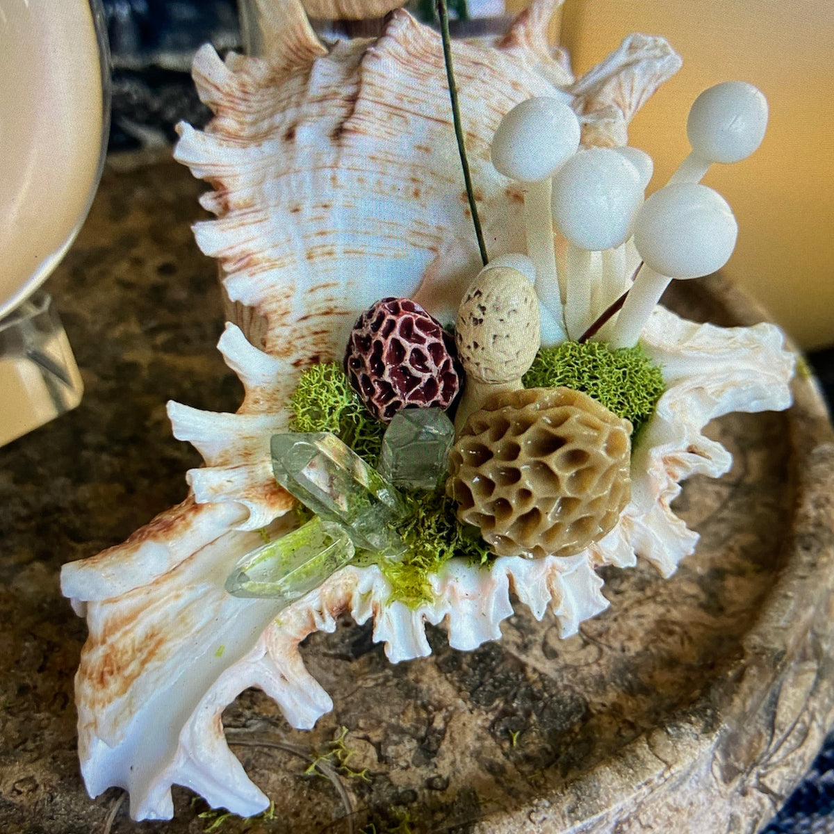 Conch Shell & Mushroom Art – Coastal Witch Home Decor