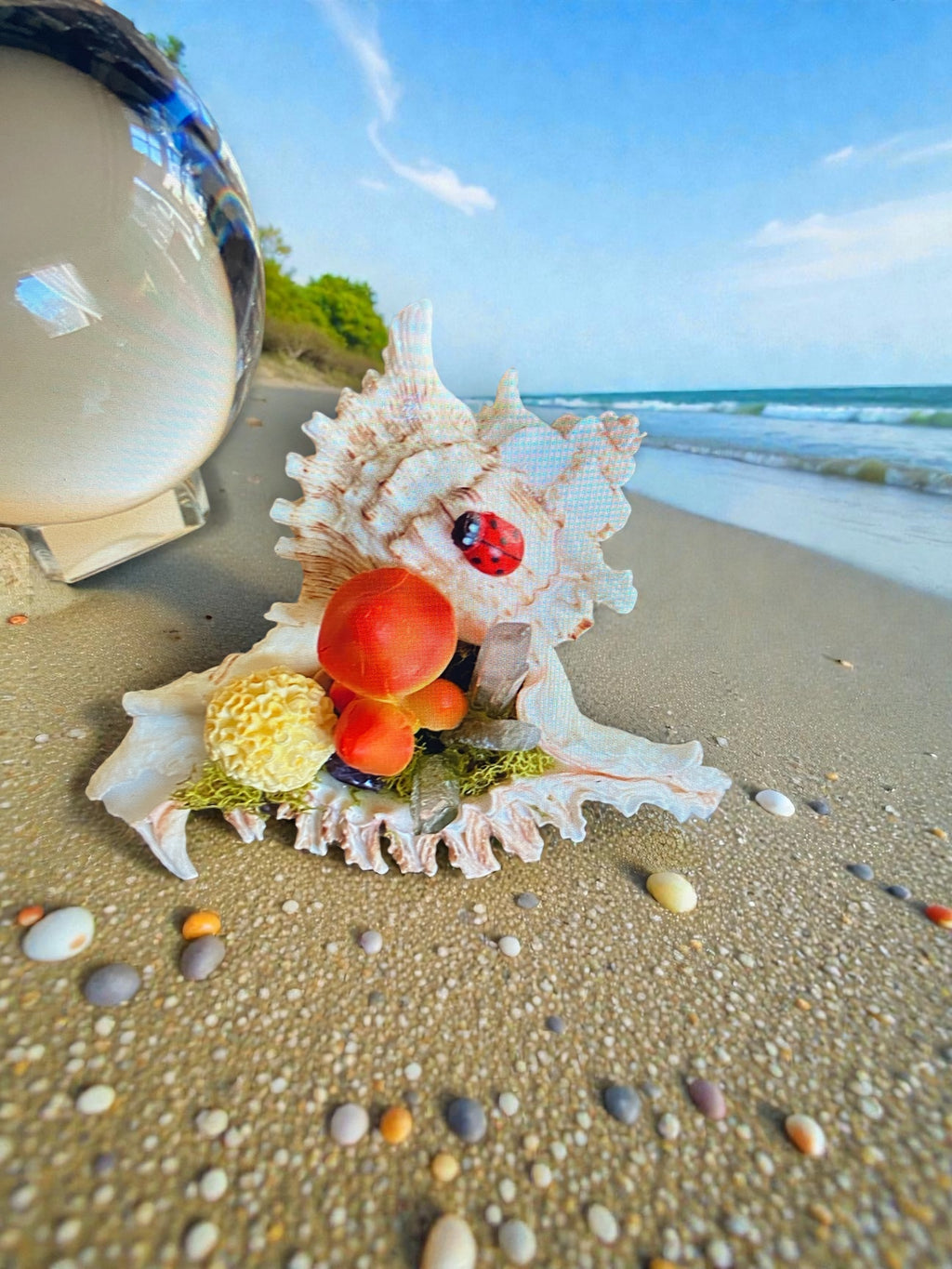 Conch Shell & Mushroom Art – Coastal Witch Home Decor