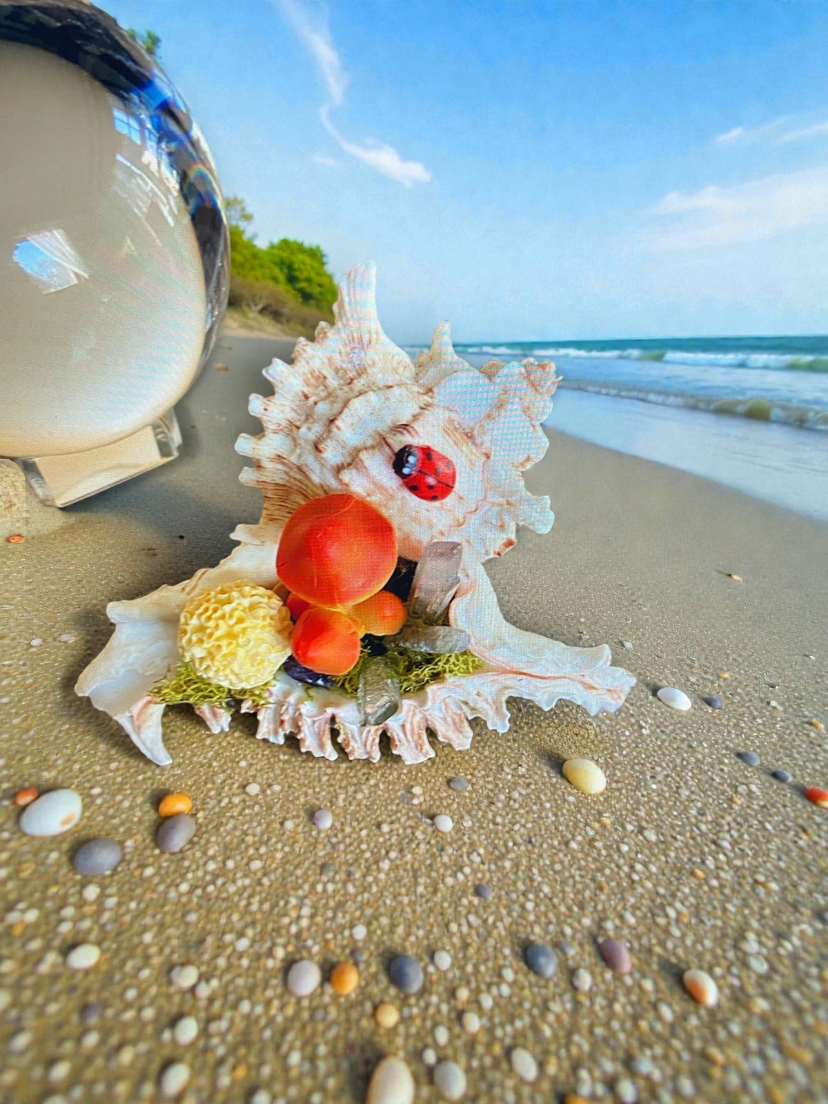 Conch Shell & Mushroom Art – Coastal Witch Home Decor