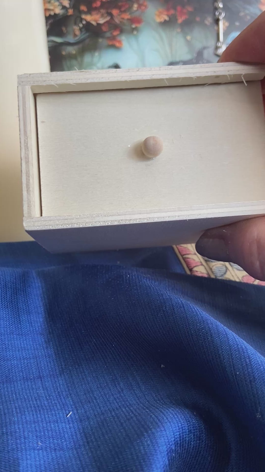 Jumping Spider Box – No Batteries Needed Prank & Gothic Gift
