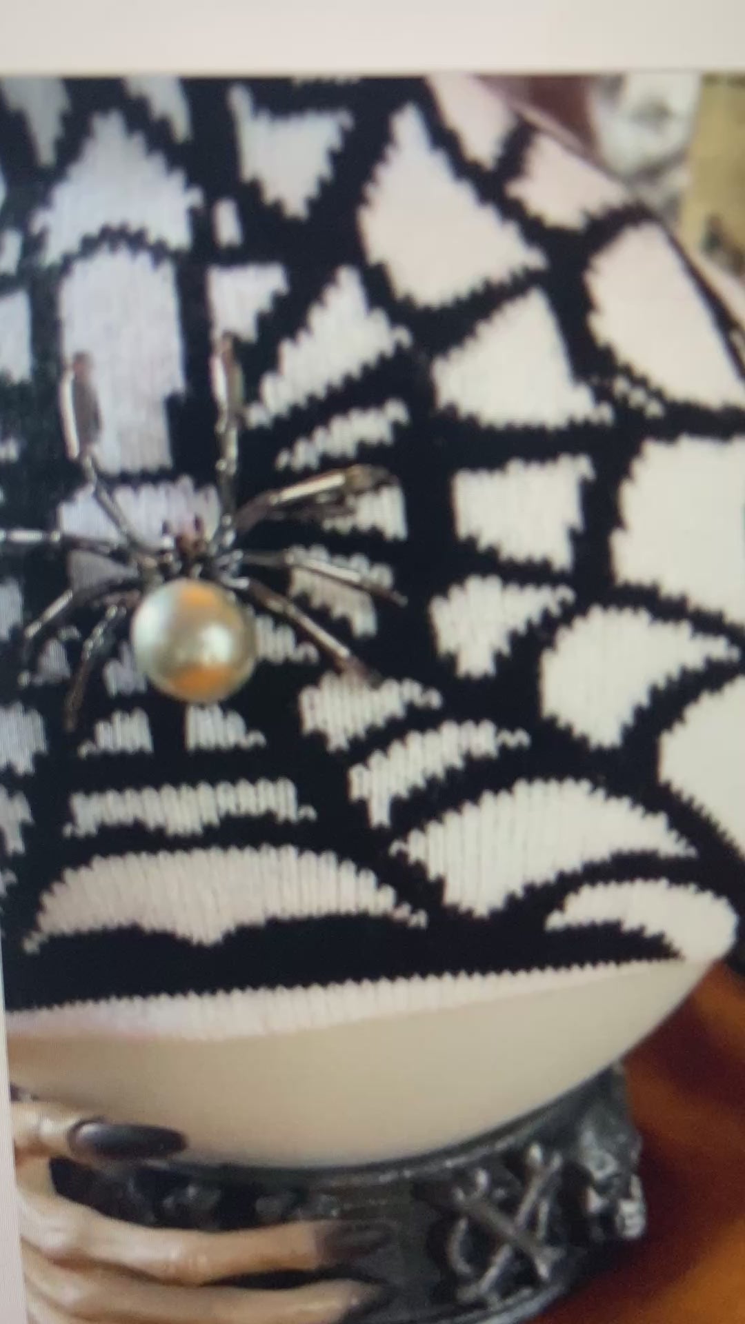Spider Web Beanie – Gothic Halloween Knit Hat